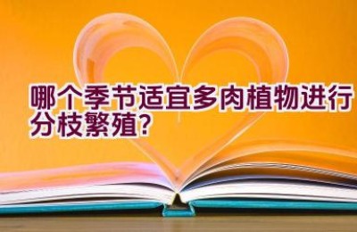 哪个季节适宜多肉植物进行分枝繁殖？