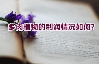 多肉植物的利润情况如何？