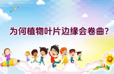 “为何植物叶片边缘会卷曲？”