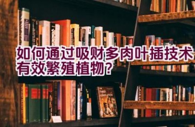 如何通过吸财多肉叶插技术有效繁殖植物？