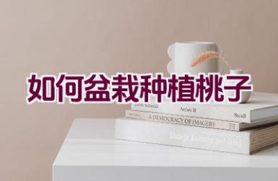 如何盆栽种植桃子