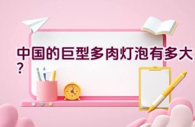 中国的巨型多肉灯泡有多大？