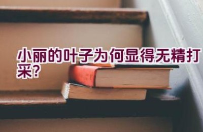 小丽的叶子为何显得无精打采？