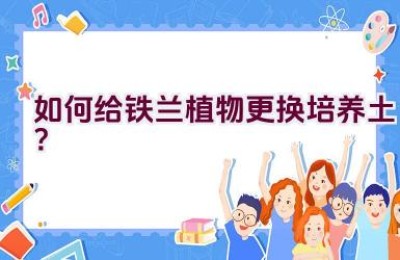 如何给铁兰植物更换培养土？