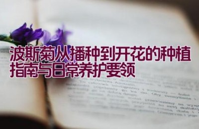 波斯菊从播种到开花的种植指南与日常养护要领