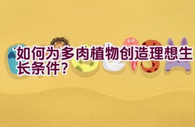 如何为多肉植物创造理想生长条件？