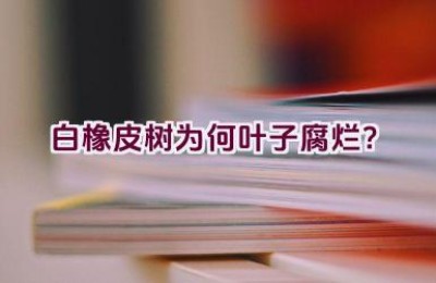 白橡皮树为何叶子腐烂？