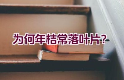 为何年桔常落叶片？