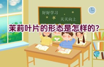 茉莉叶片的形态是怎样的？