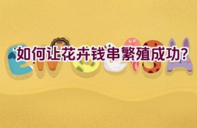 如何让花卉钱串繁殖成功？