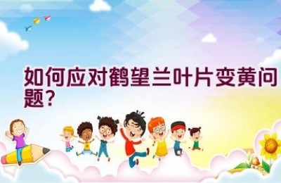 如何应对鹤望兰叶片变黄问题？