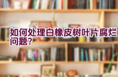 如何处理白橡皮树叶片腐烂问题？