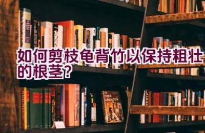 如何剪枝龟背竹以保持粗壮的根茎？