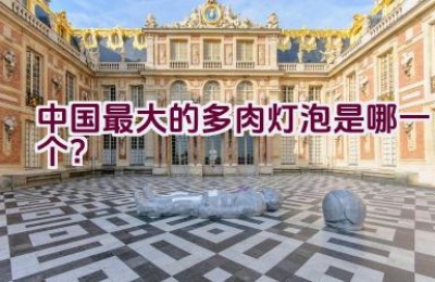 中国最大的多肉灯泡是哪一个？