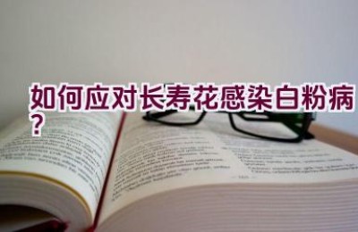 如何应对长寿花感染白粉病？