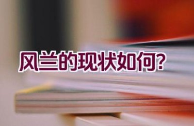 “风兰的现状如何？”