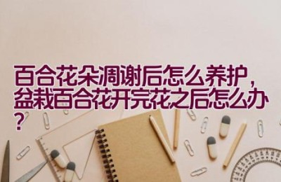 百合花朵凋谢后怎么养护，盆栽百合花开完花之后怎么办？