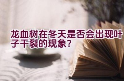 龙血树在冬天是否会出现叶子干裂的现象？