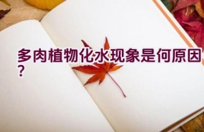 多肉植物化水现象是何原因？