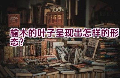 榆木的叶子呈现出怎样的形态？