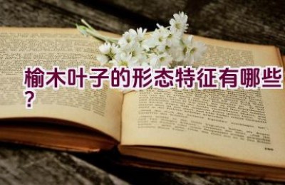 榆木叶子的形态特征有哪些？