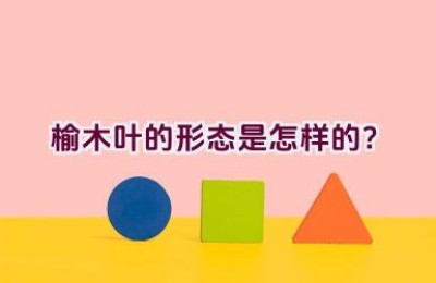 榆木叶的形态是怎样的？