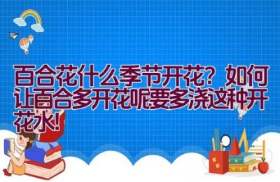 百合花什么季节开花？如何让百合多开花呢要多浇这种开花水！