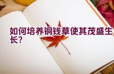如何培养铜钱草使其茂盛生长？