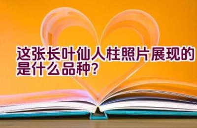 这张长叶仙人柱照片展现的是什么品种？