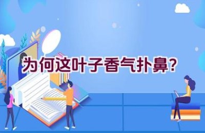 为何这叶子香气扑鼻？