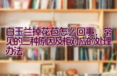 白玉兰掉花苞怎么回事，常见的三种原因及相对应的处理办法