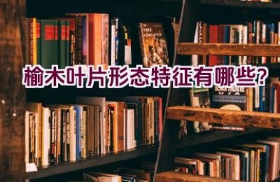 榆木叶片形态特征有哪些？