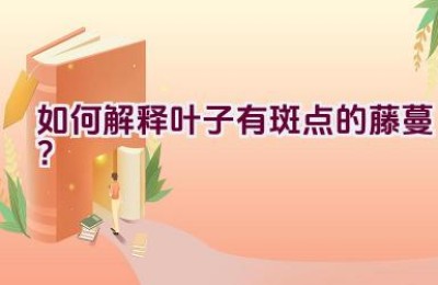 如何解释叶子有斑点的藤蔓？