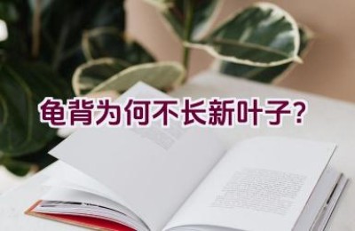 龟背为何不长新叶子？
