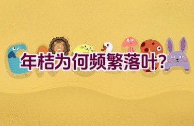 年桔为何频繁落叶？