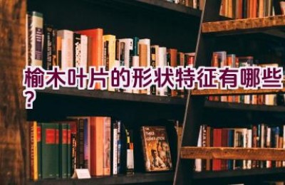 榆木叶片的形状特征有哪些？