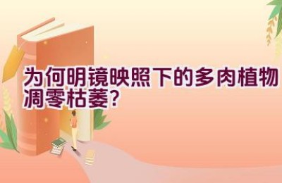 为何明镜映照下的多肉植物凋零枯萎？