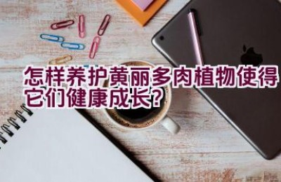 怎样养护黄丽多肉植物使得它们健康成长？