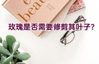 玫瑰是否需要修剪其叶子？