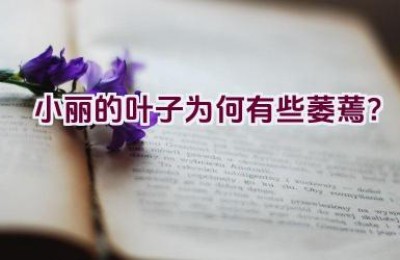 小丽的叶子为何有些萎蔫？