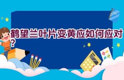 鹤望兰叶片变黄应如何应对？