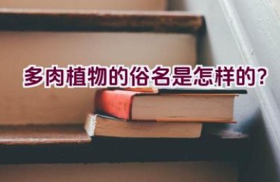 多肉植物的俗名是怎样的？
