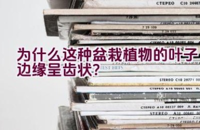 为什么这种盆栽植物的叶子边缘呈齿状？
