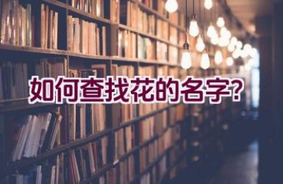 如何查找花的名字？