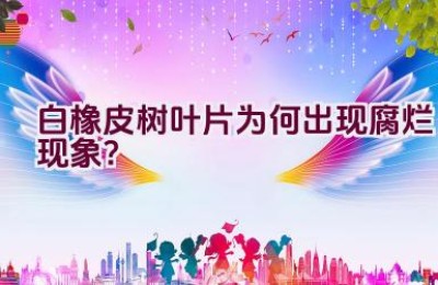 白橡皮树叶片为何出现腐烂现象？