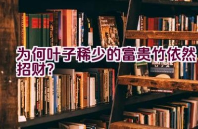 为何叶子稀少的富贵竹依然招财？