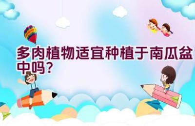 多肉植物适宜种植于南瓜盆中吗？