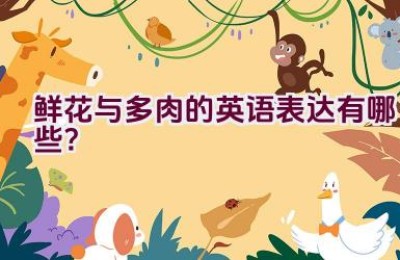 鲜花与多肉的英语表达有哪些？