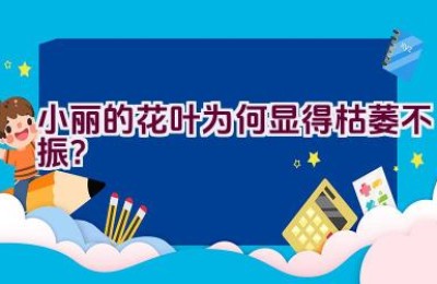 小丽的花叶为何显得枯萎不振？