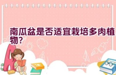 南瓜盆是否适宜栽培多肉植物？